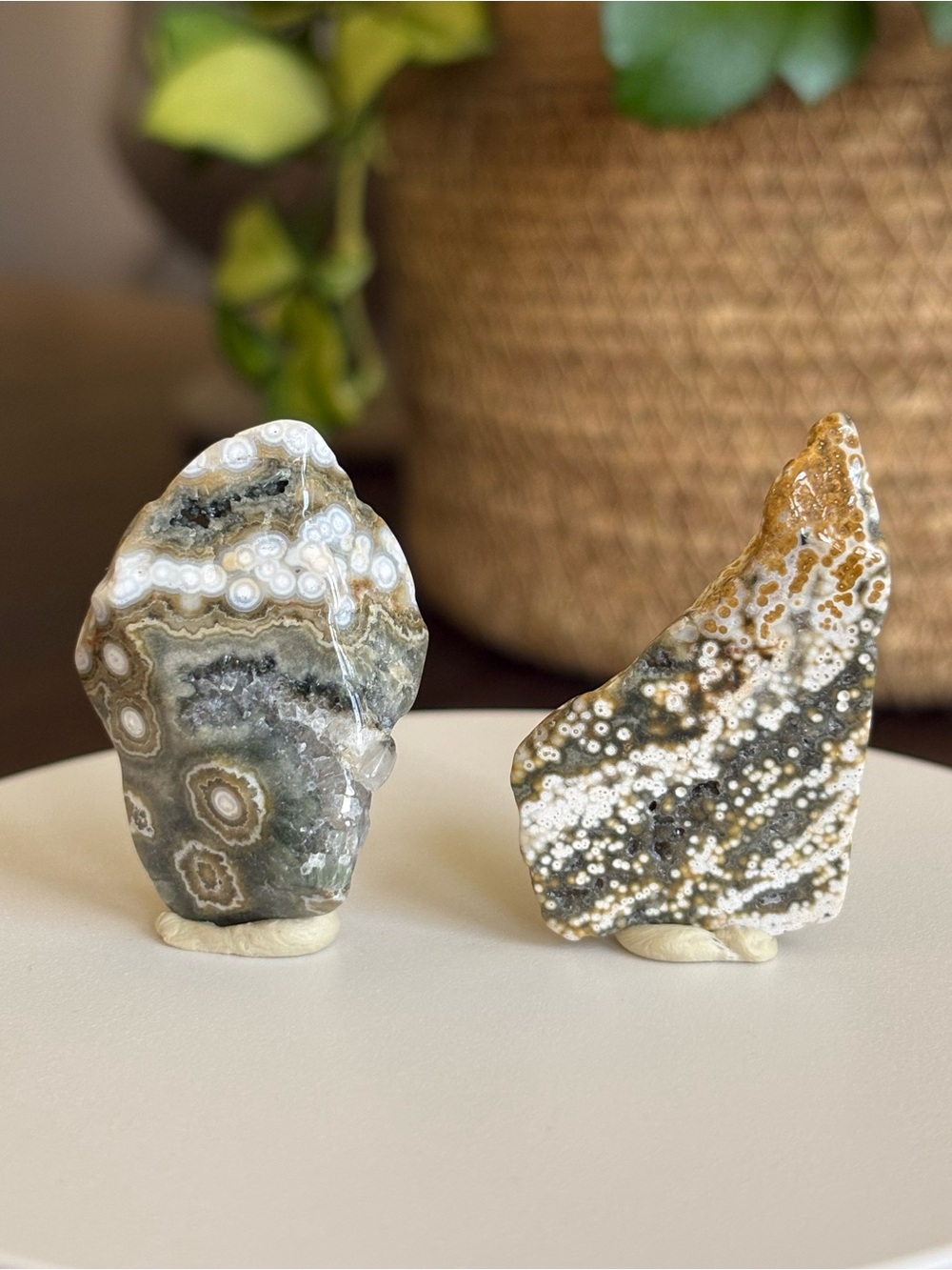 Ocean Jasper Crystal Set - Polished Sea Jasper Bundle - Orbicular Jasper - Picture 4 of 17